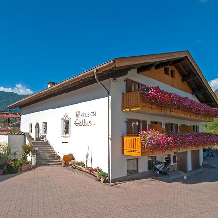 Pension Gallus Laces Exterior foto